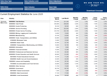 Labor Data June 2025