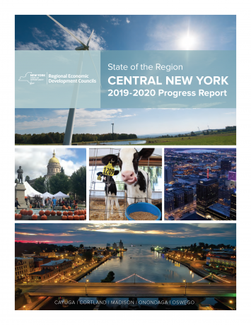 Central New York Progress Report 2019